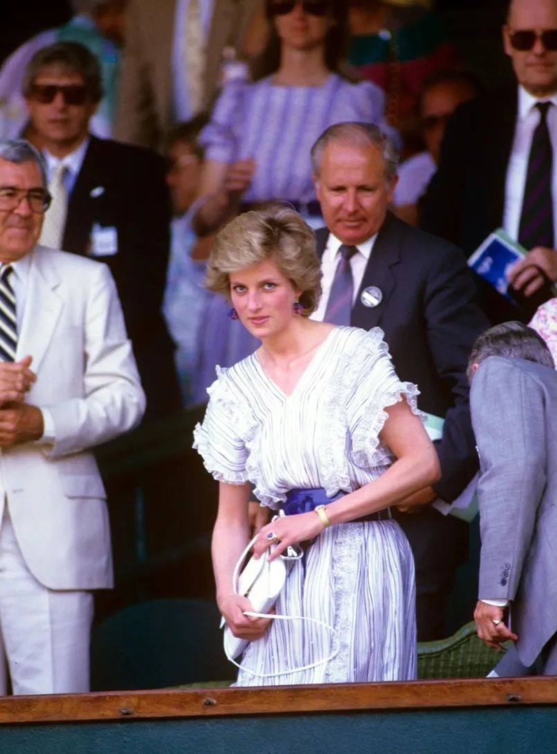 维斯塔潘与 维斯塔潘与